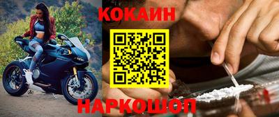 прущие грибы Гатчина
