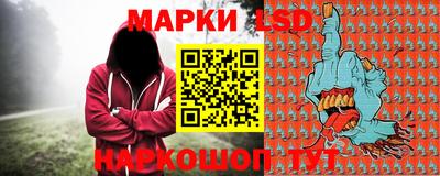 прущие грибы Гатчина