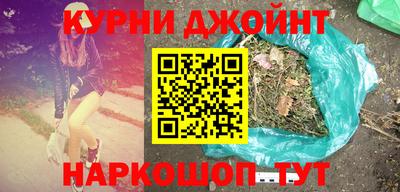 прущие грибы Гатчина