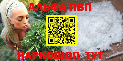 прущие грибы Гатчина