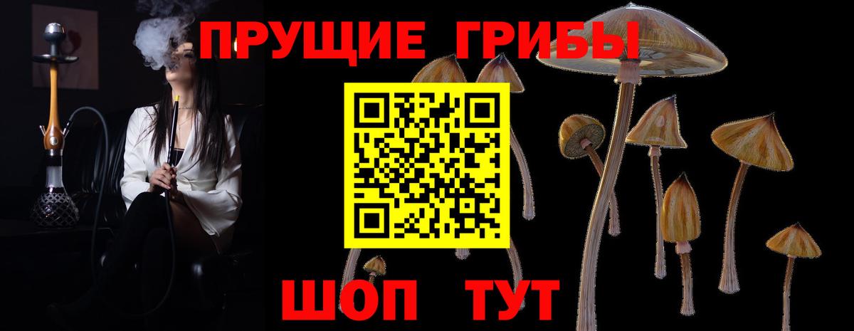 Галлюциногенные грибы мицелий  Галлюциногенные грибы MAGIC MUSHROOMS  Вход с VPN  Гай 