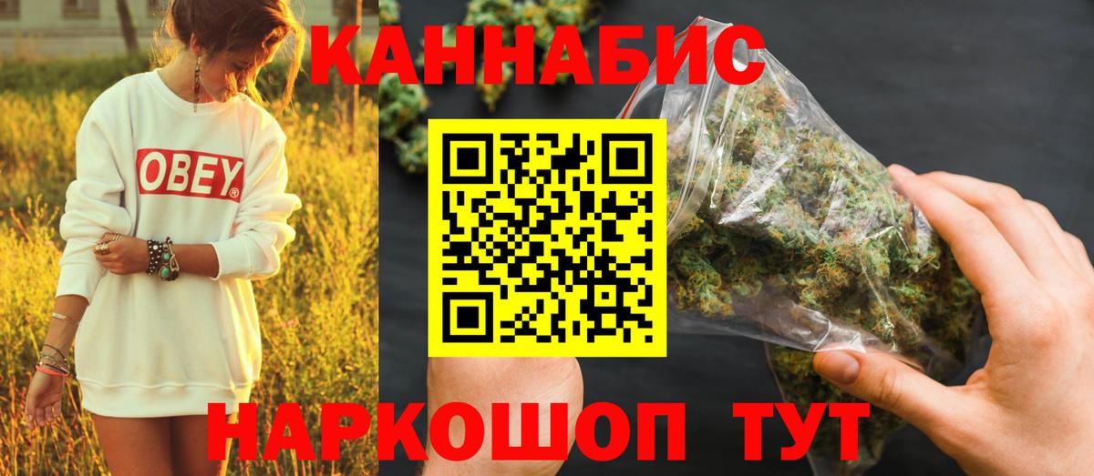 Конопля план  Канабис сатива  Гай  Вход с VPN  Конопля White Widow 